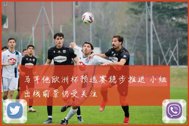 马耳他欧洲杯预选赛稳步推进 小组出线前景仍受关注