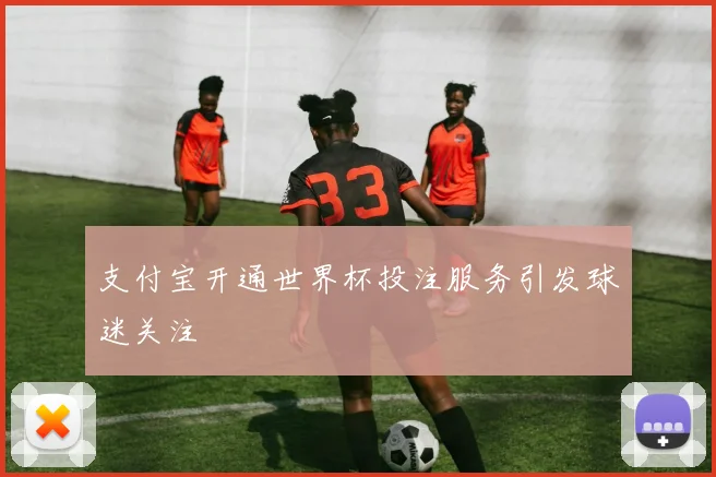 支付宝开通世界杯投注服务引发球迷关注
