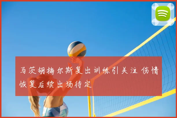 马茨胡梅尔斯复出训练引关注 伤情恢复后续出场待定